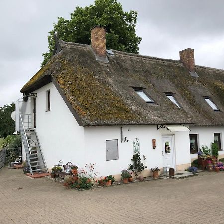 Ferienwohnung Landhaus Zurow Eksteriør billede