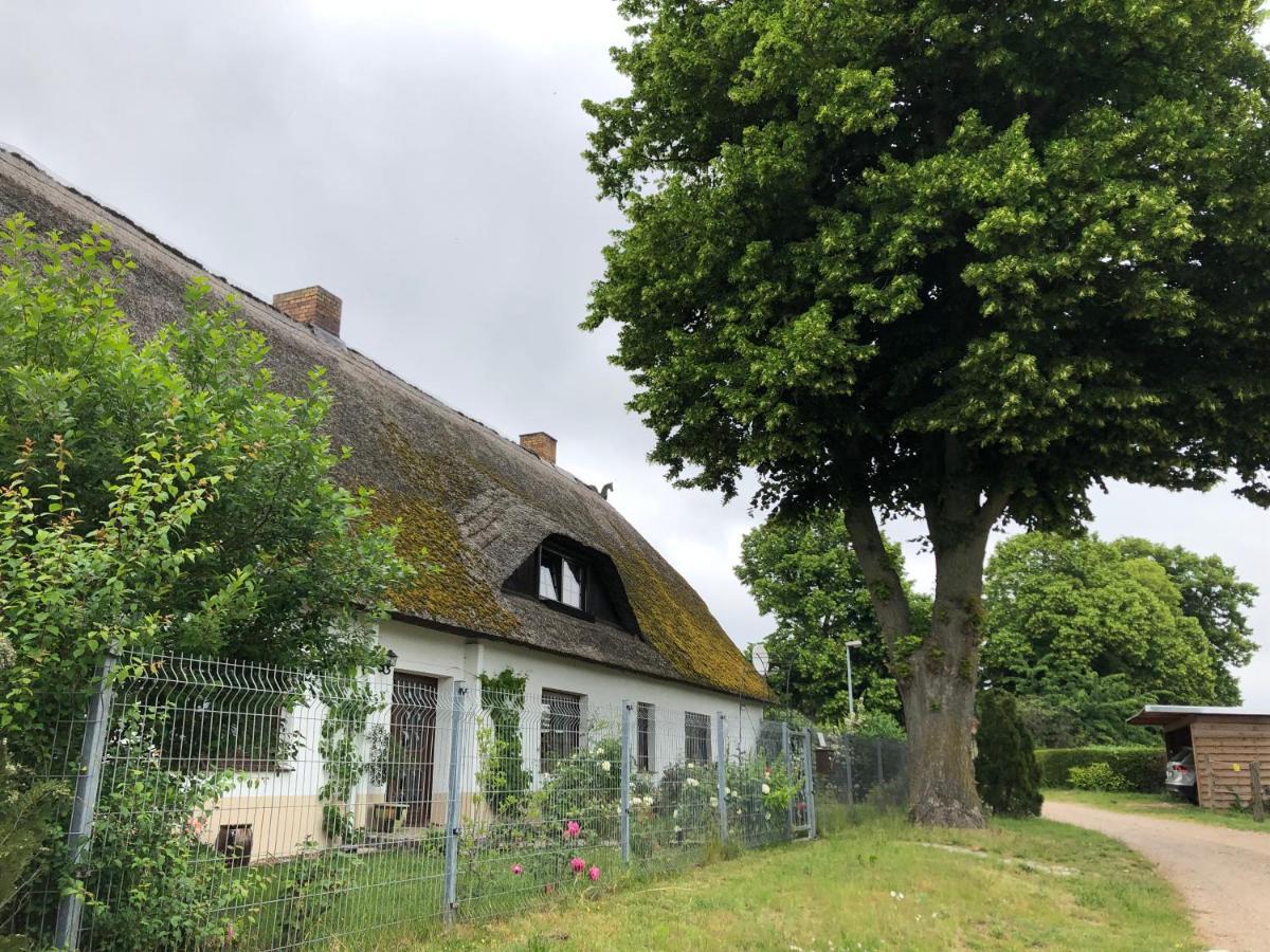 Ferienwohnung Landhaus Zurow Eksteriør billede